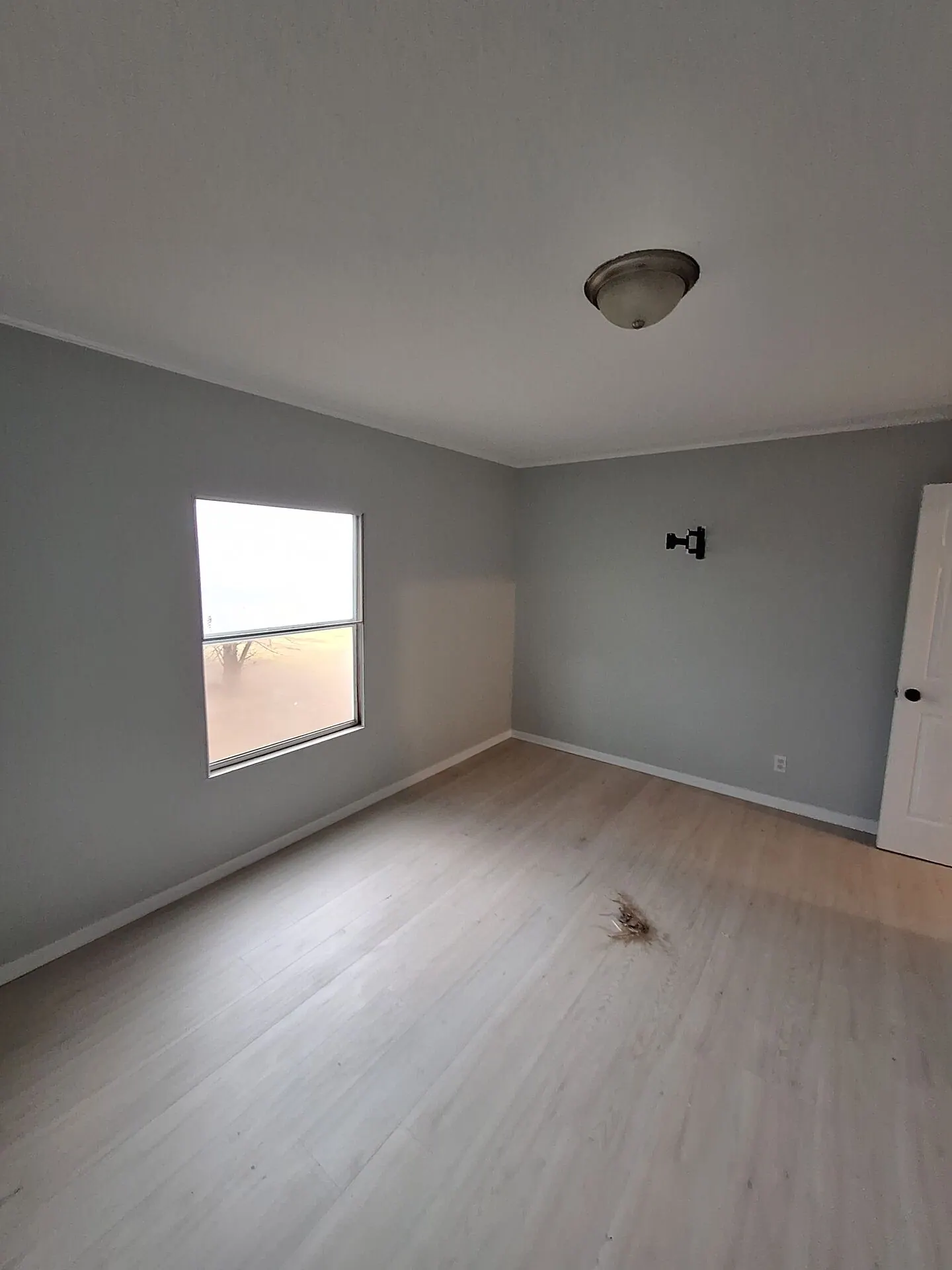 Empty room freshly painted cool gray