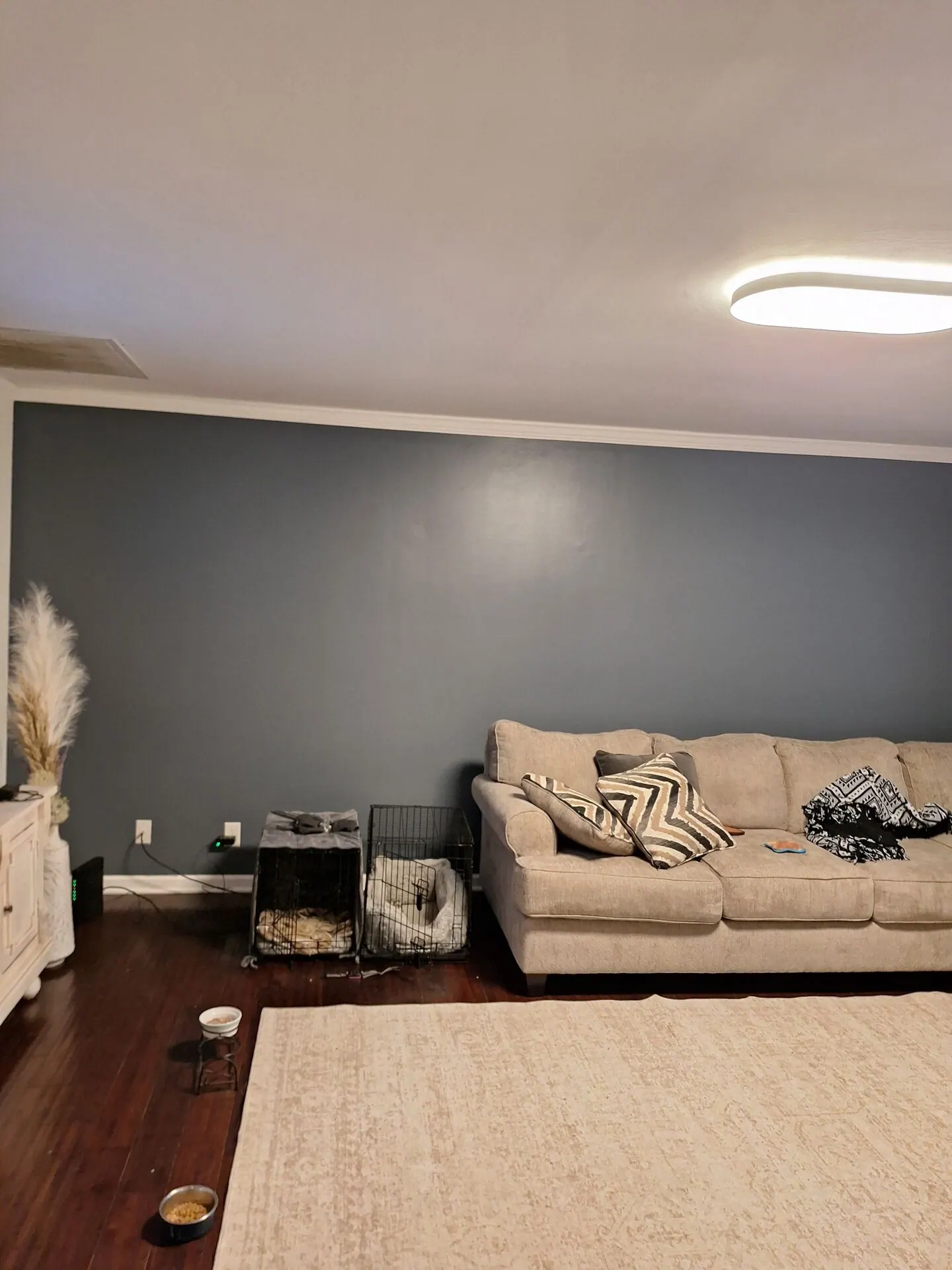 Living room with slate blue accent wall and crown molding