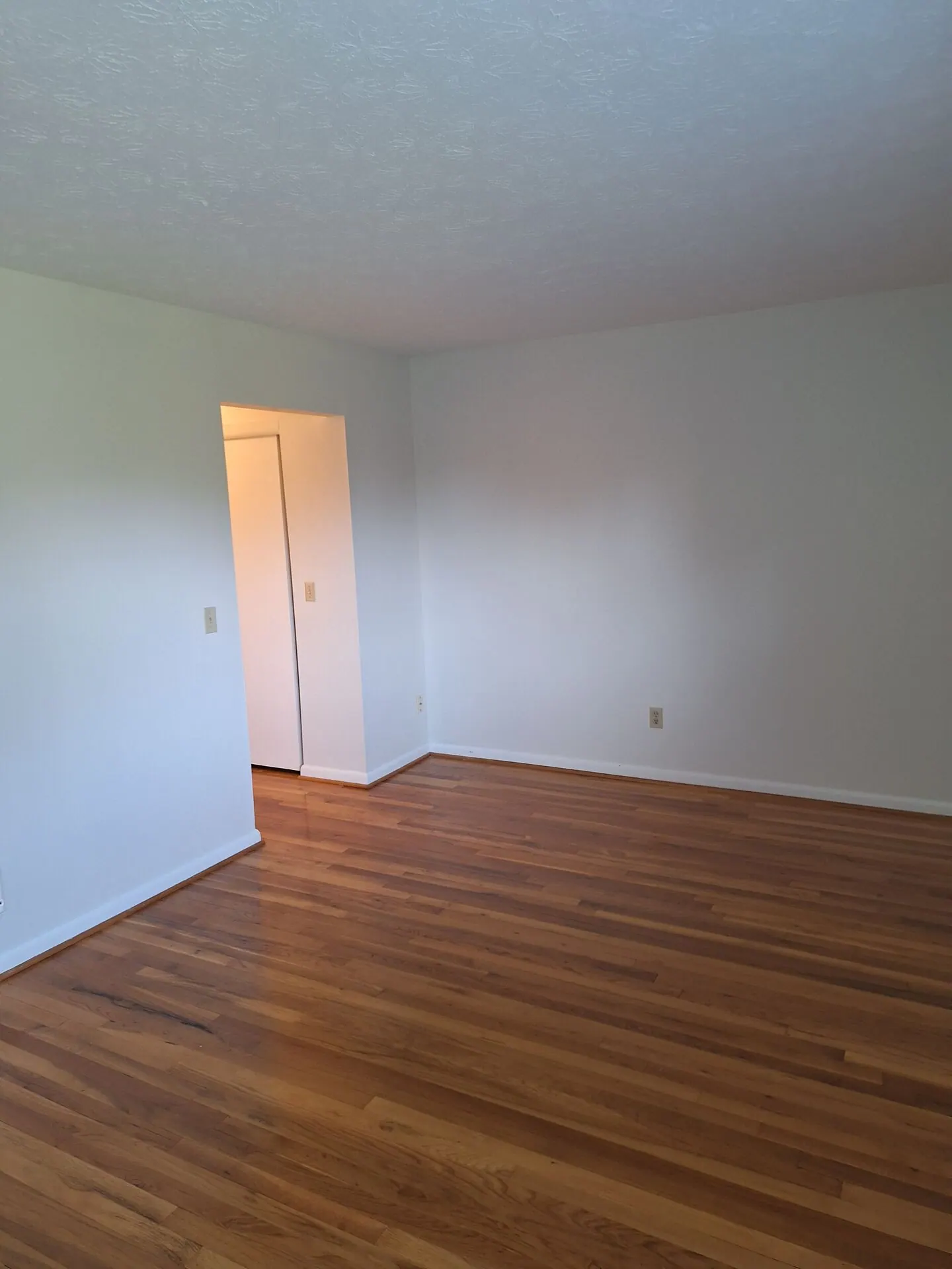 Freshly painted bedroom with white walls and hardwood floors