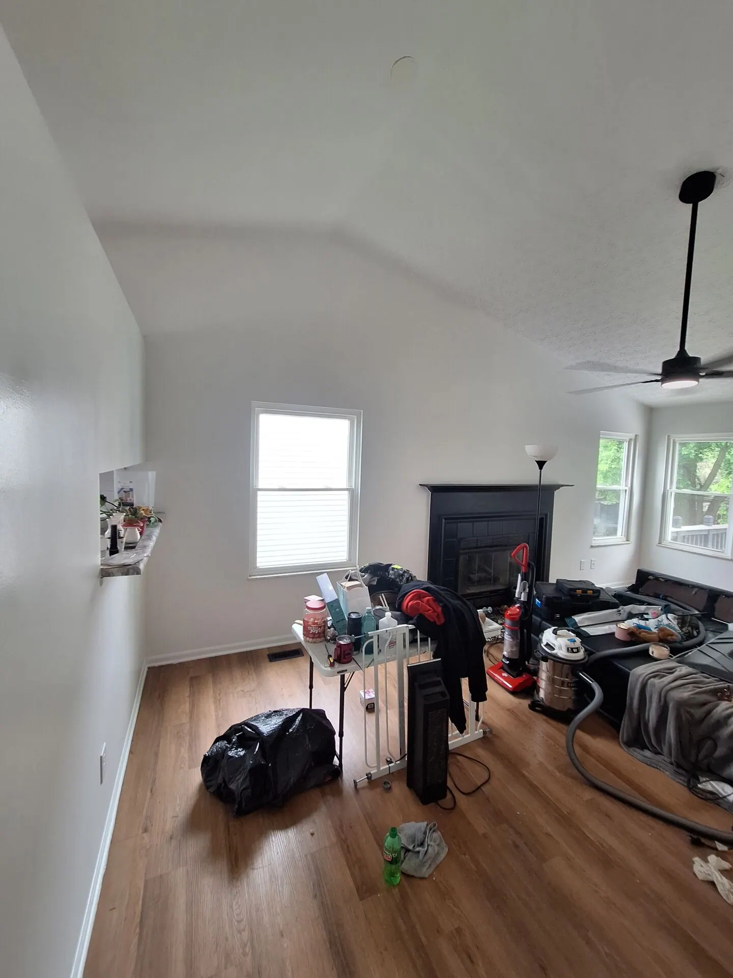 Living room with bright white walls and vaulted ceiling