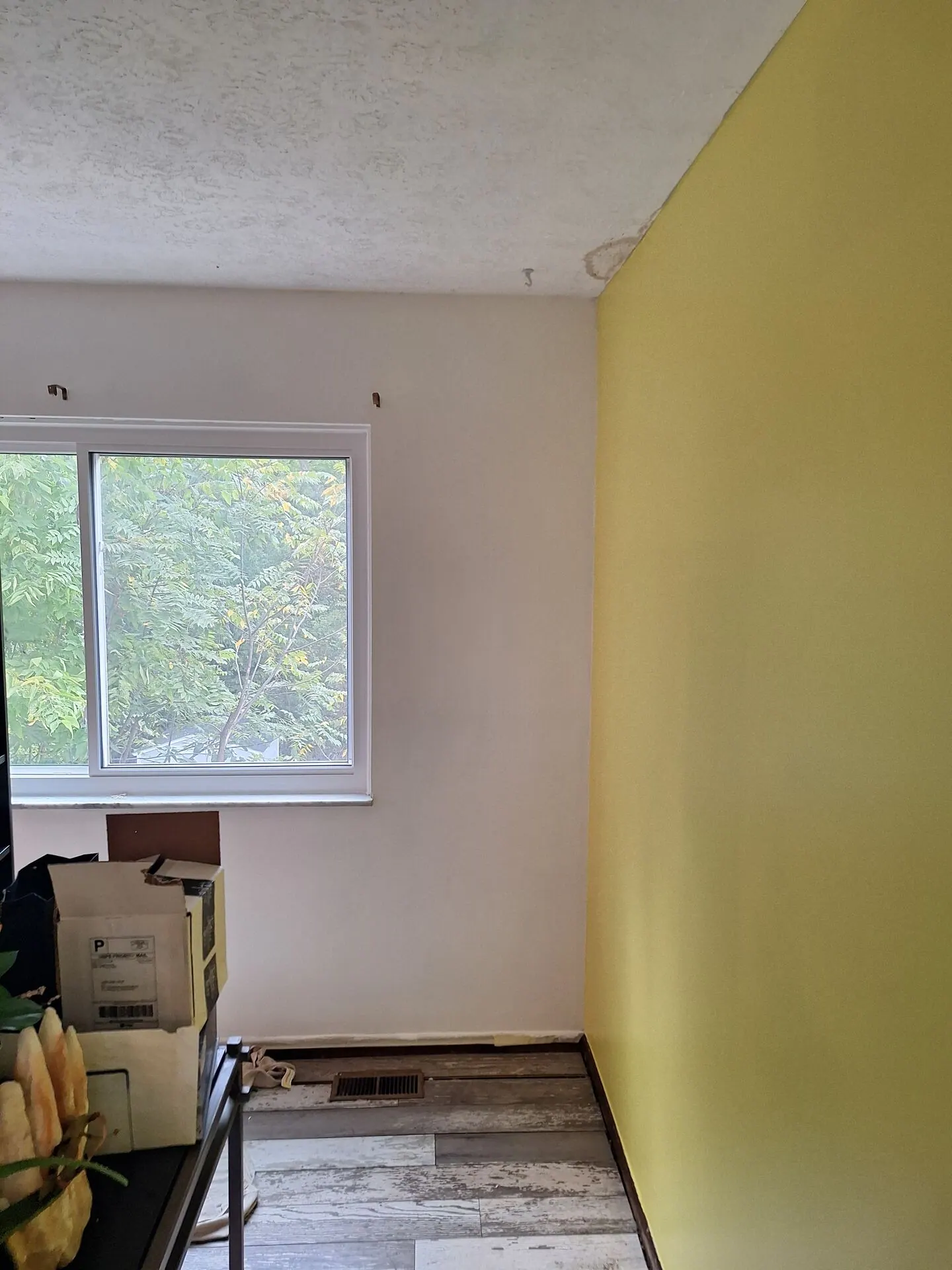 Accent wall painted bright yellow