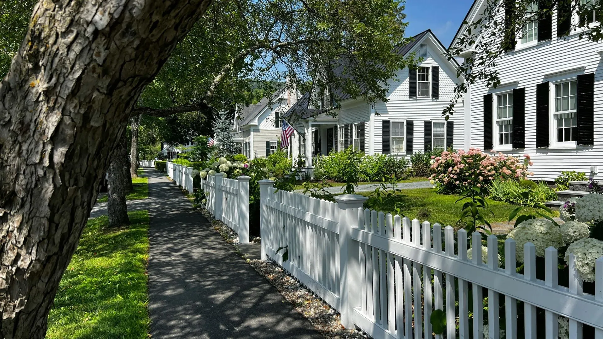Fence painting services in Central Ohio